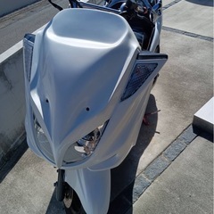 マジェスティCの画像