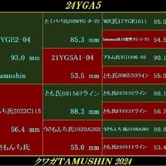 【能勢YG血統】国産オオクワガタ　♂88.5mm（同腹90.3,90）tamushin氏ブリード個体の画像