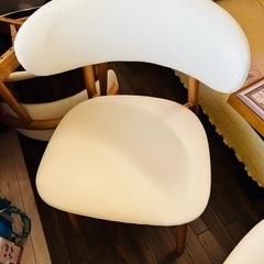 カグー　ダイニングチェアの画像