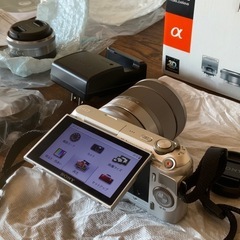 デジタルカメラ（レンズ交換式）の画像