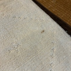 白系カーペットの画像