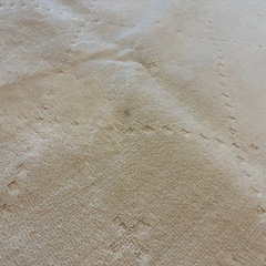 白系カーペットの画像