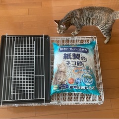猫ちゃん お迎えセット猫 ケージと猫砂の画像