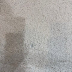 ニトリNウォームラグの画像