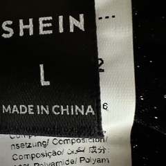 シースルーのハイネックの画像