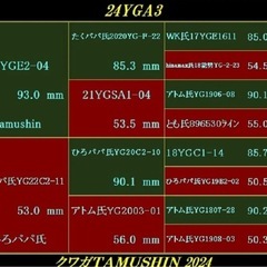 【能勢YG】国産オオクワガタ　♀52.5mm（同腹90.9mm）tamushin氏ブリード個体の画像