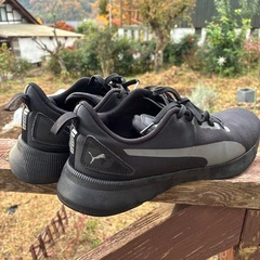 プーマスニーカーの画像