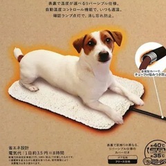 犬猫用　ペットヒーターの画像