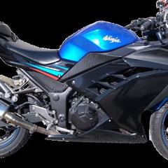 カワサキ　ニンジャ250の画像