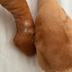 トゥントゥントゥンサフール BIG ぬいぐるみの画像