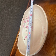 お皿一枚の画像