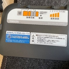 ホットカーペット3畳本体 + カーペット　セットの画像
