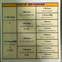 【能勢YG血統】国産オオクワガタ♀54.5mm（同腹最大92.1）ま〜たん氏ブリード個体の画像