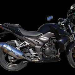 SYM　ウルフ250の画像