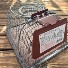 ねずみ取りの画像