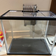 金魚　水槽セットの画像