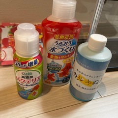 金魚　水槽セットの画像