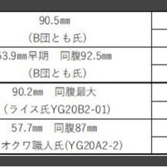 【能勢YG血統】国産オオクワガタ♀52.5mm（同腹最大90.3）はるの空氏ブリード個体の画像