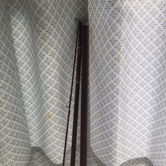 釣竿 フナの画像