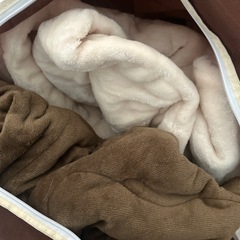 こたつとこたつ布団差し上げます。の画像