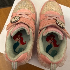 アリエル17センチの画像