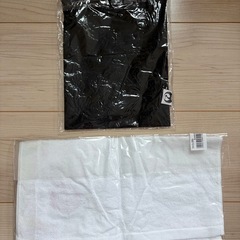 【未使用】JAL 巾着袋 タオル
の画像