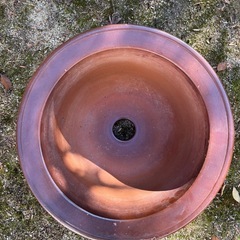 鉢の画像