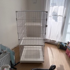 猫のげゲージの画像