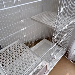 猫のげゲージの画像