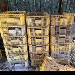 農業　コンテナ　無料　100個ほどの画像