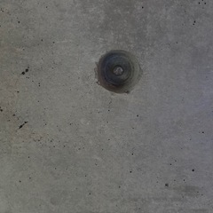 ステンレス壁掛けフックの画像