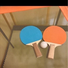 卓球　セット　家庭用の画像