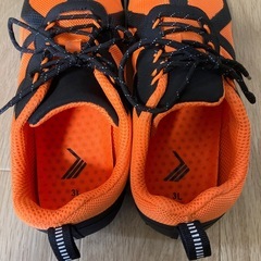 ワークマン28cmシューズの画像