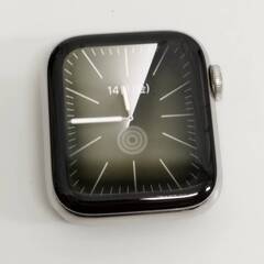 Apple Watch Series 6/GPS+セルラー/40mm/A2375/シルバーステンレス〈M0DV3J/A〉の画像