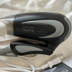 ダイナミックブロー　イオン機能付きヘアドライヤー GD-HM301の画像
