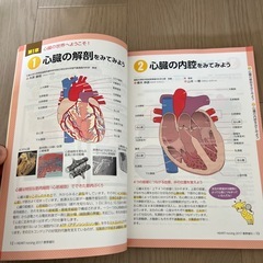 循環器の病気ずかんの画像