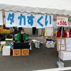 メダカ　エメキン、レッドクリフ　7匹の画像