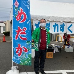 メダカ　エメキン、レッドクリフ　7匹の画像