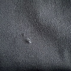 GUフレアパンツの画像