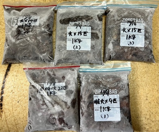 ♦︎小〜特大  沖縄市♦︎