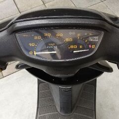 ホンダ  ディオ  AF27の画像