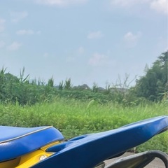 ライブディオ　ZX リアスポイラー　AF35の画像