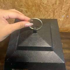 電撃殺虫器の画像