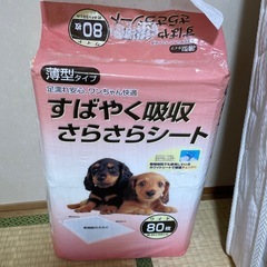 ペットシーツワイド薄型80枚未開封の画像