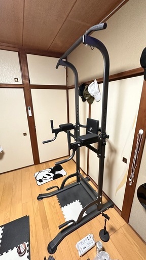 pull up 道具とダンベル30kg