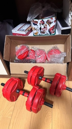 pull up 道具とダンベル30kg