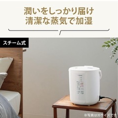 【本日限定】加湿器 象印 スチーム式 EE-RR35の画像
