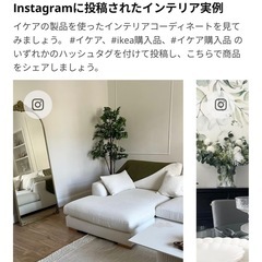 
 IKEA FEJKA フェイカ  の画像