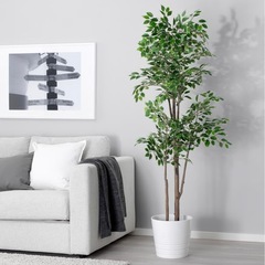 
 IKEA FEJKA フェイカ  の画像