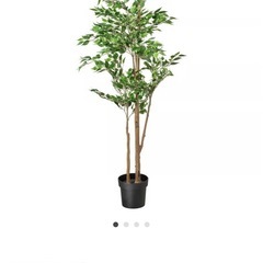 
 IKEA FEJKA フェイカ  の画像